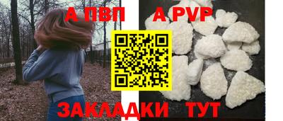 прущие грибы Усть-Джегута