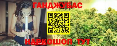 прущие грибы Усть-Джегута