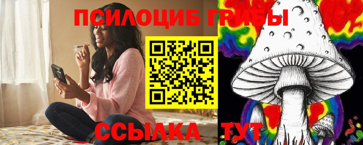Псилоцибиновые грибы мухоморы  Вход с VPN  Благодарный  Псилоцибиновые грибы Psilocybe 
