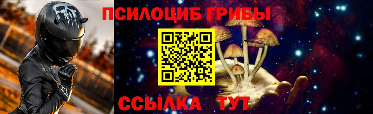 Галлюциногенные грибы Cubensis Благодарный